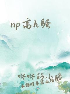 np高h骚