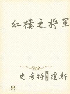 红楼之将军