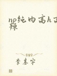 np纯肉高h高辣