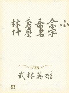 林鸢乔念小说叫什么名字