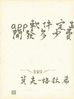 app软件定制开发多少费用