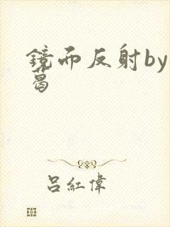 镜面反射by九葛