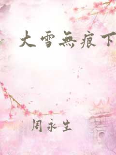 大雪无痕下载