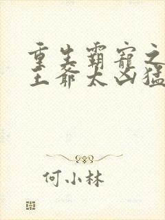 重生霸宠之摄政王爷太凶猛