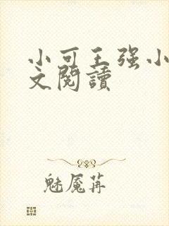 小可王强小说全文阅读