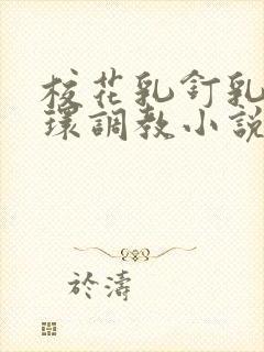 校花乳钉乳环蒂环调教小说h