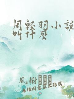 周轻羽小说主角叫什么