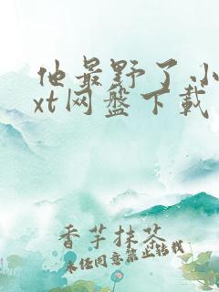 他最野了小说txt网盘下载