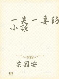 一夫一妻的玄幻小说