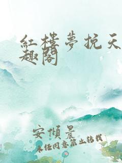 红楼梦挽天倾笔趣阁