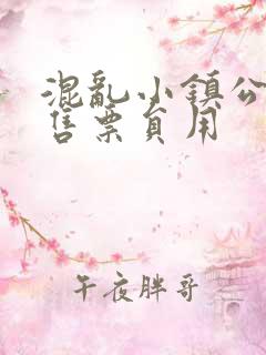 混乱小镇公交车售票员用