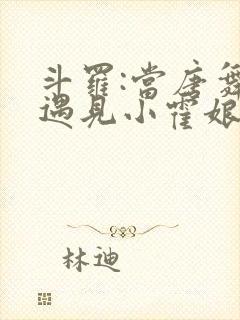 斗罗:当唐舞麟遇见小霍娘免费阅读