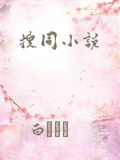 搜同小说
