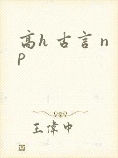 高h 古言 np