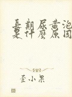 长期尿黄泡沫多是什么原因