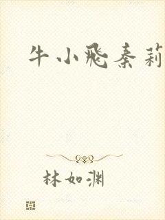 牛小飞秦莉莉