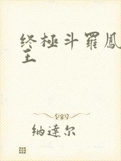 终极斗罗凤凰神王