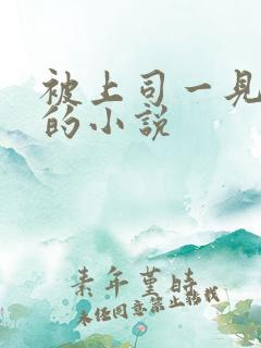 被上司一见钟情的小说