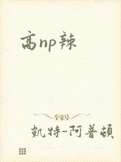 高np辣