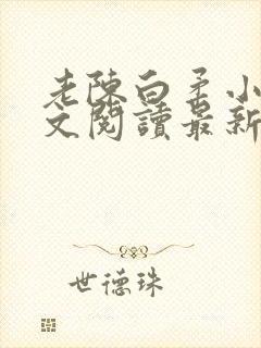 老陈白柔小说全文阅读最新章节内容