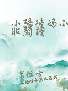 小阳后妈小说正版阅读