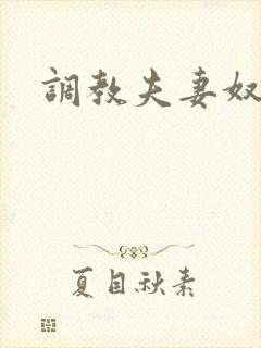 调教夫妻奴小说