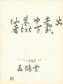 仙墓中走出的强者txt下载