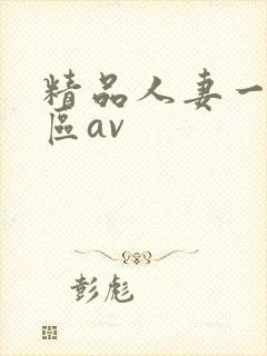 精品人妻一区二区av