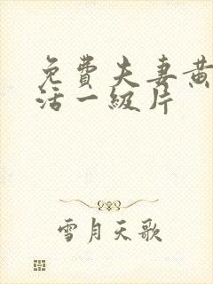 免费夫妻黄色生活一级片