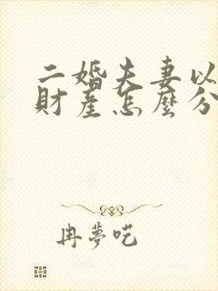 二婚夫妻以后的财产怎么分