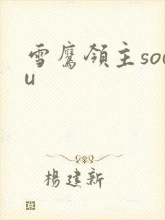 雪鹰领主sodu
