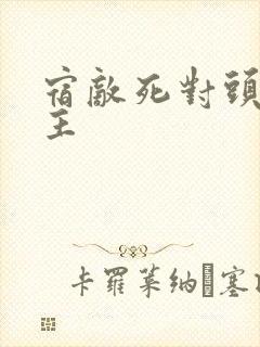 宿敌死对头双男主