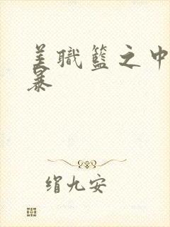 美职篮之中国风暴