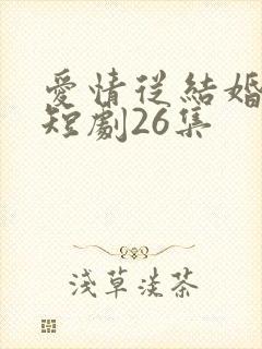 爱情从结婚开始短剧26集