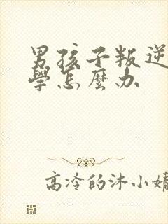 男孩子叛逆期厌学怎么办