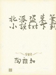北派盗墓笔记 小说txt下载