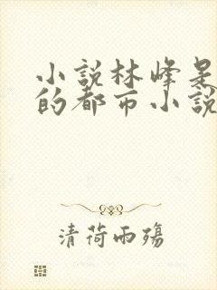 小说林峰是主角的都市小说