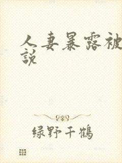 人妻暴露被日小说