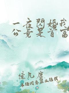 一夜闪婚我的老公竟是首富