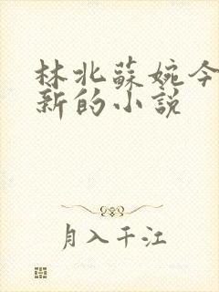 林北苏婉今日更新的小说