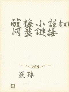 酸梅小说txt网盘链接