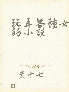 玩弄各种女明星的小说