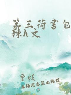 第三荷书包网高辣h文