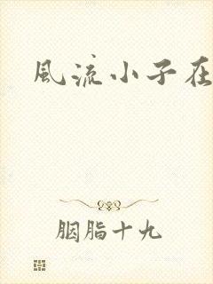 风流小子在异世