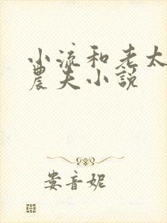 小流和老太69农夫小说