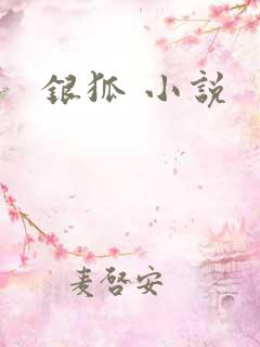 银狐 小说