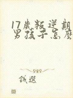 17岁叛逆期的男孩子怎么去引导