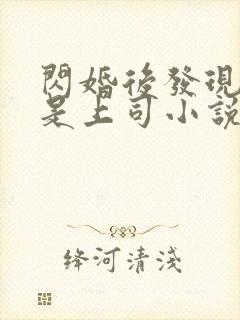 闪婚后发现老公是上司小说免费阅读全文