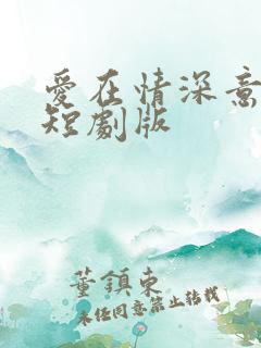 爱在情深意晚时短剧版