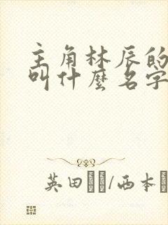 主角林辰的小说叫什么名字